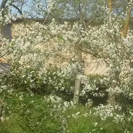 Agriturismo Settimo Cielo Farmház *