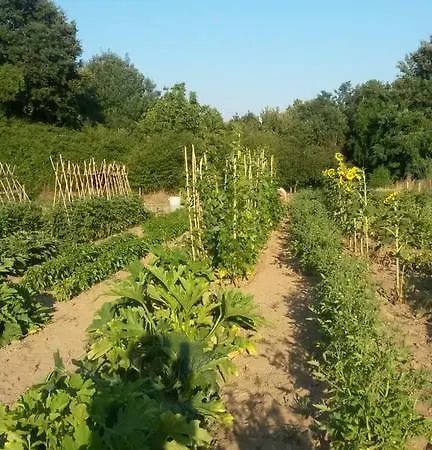 Agriturismo Settimo Cielo Farmház Bagnoregio