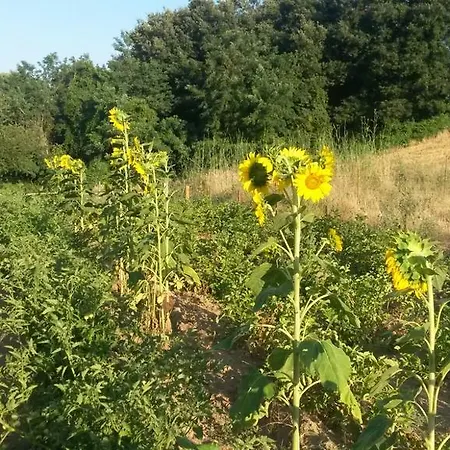 Agriturismo Settimo Cielo *